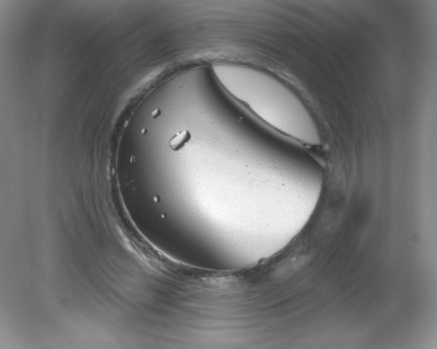 X0000082160446200702021705