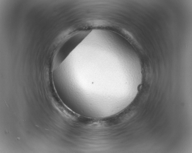 X0000082160447200702021705