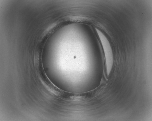 X0000082160448200702021705