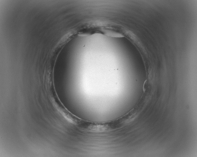 X0000082160449200702021705