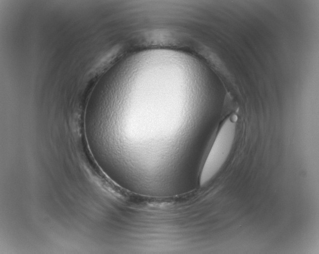 X0000082160450200702021705