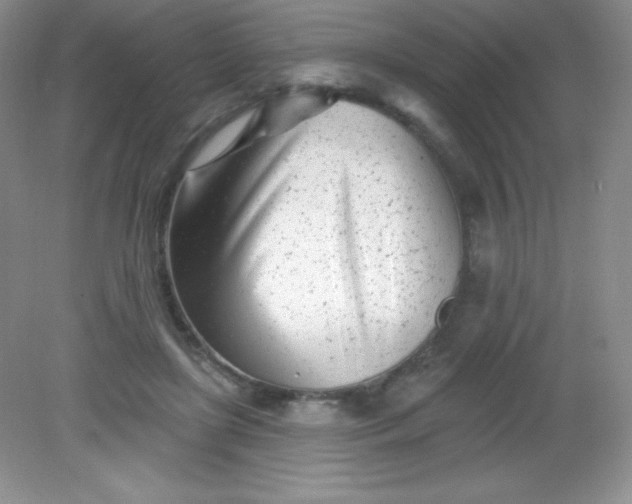 X0000082160451200702021705