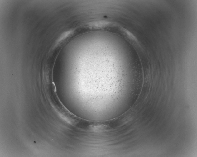 X0000082160452200702021705