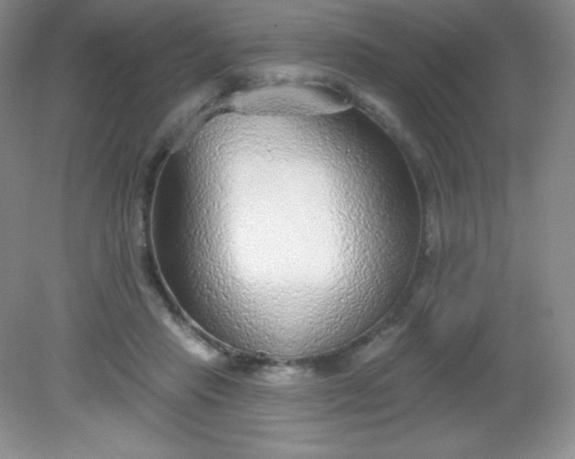 X0000082160453200702021705