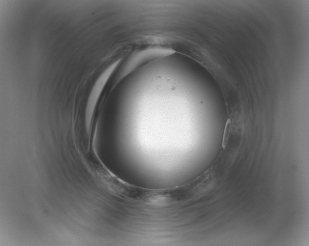 X0000082160456200702021705