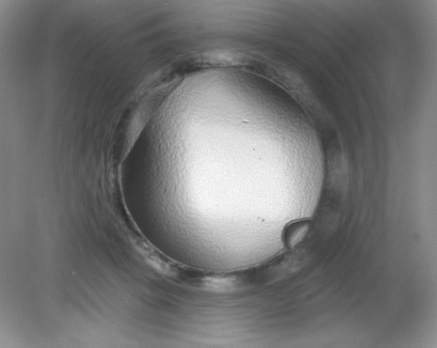 X0000082160457200702021705