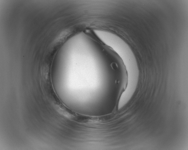 X0000082160458200702021705