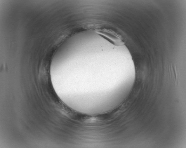 X0000082160460200702021705