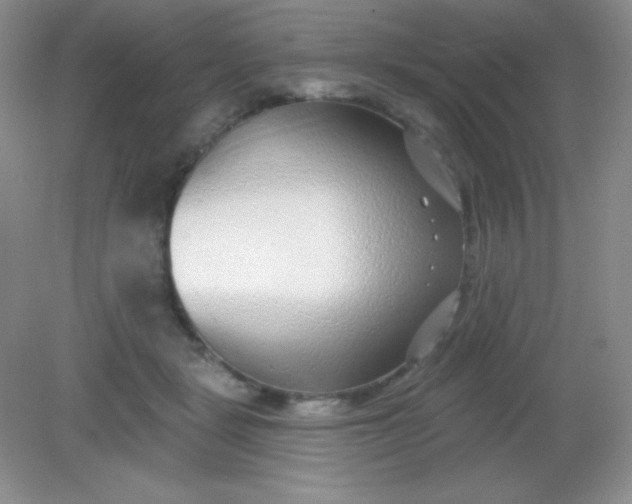 X0000082160461200702021705