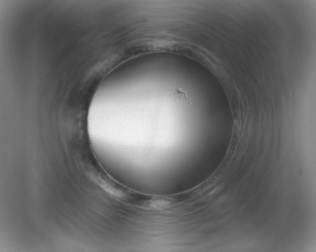 X0000082160462200702021705