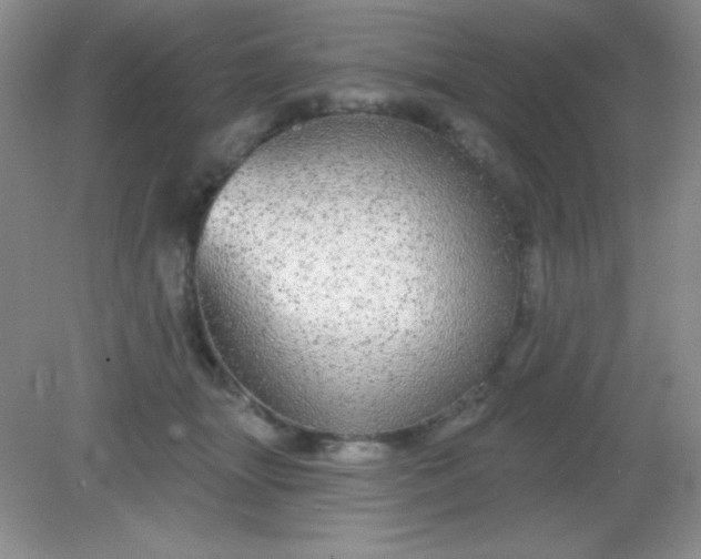 X0000082160463200702021705