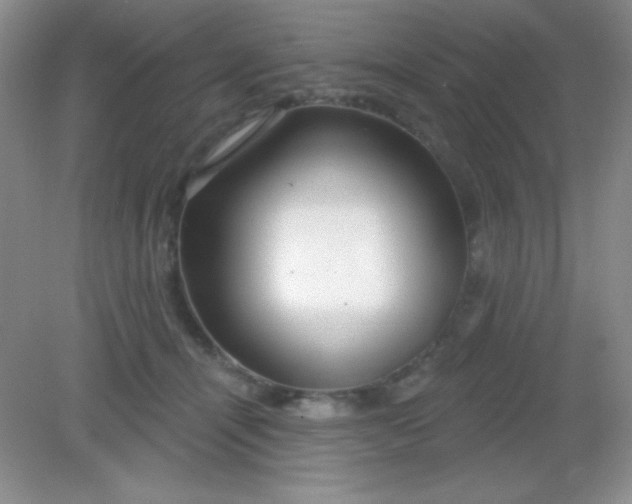 X0000082160464200702021705