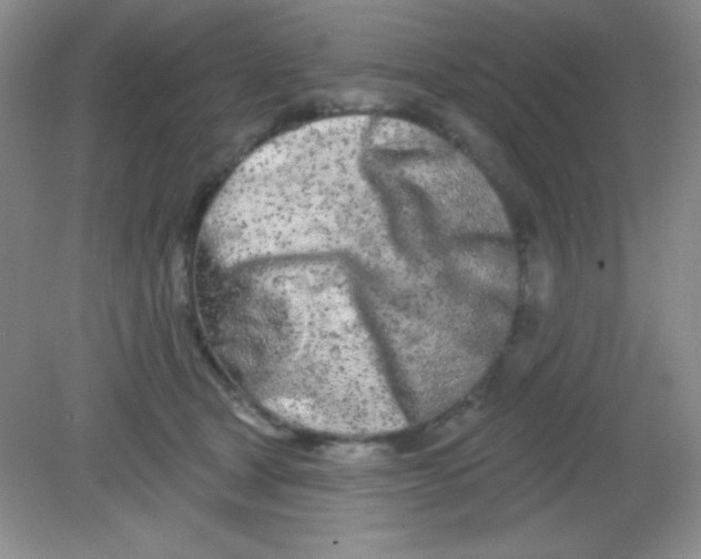 X0000082160465200702021705