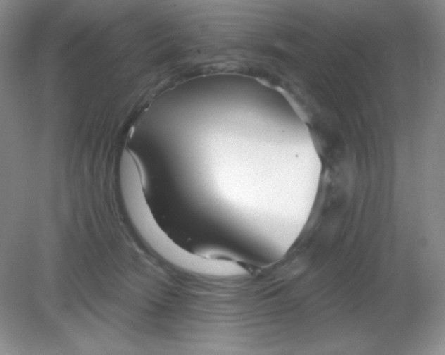 X0000082160466200702021705