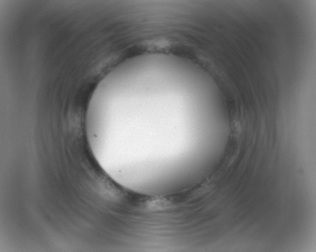 X0000082160468200702021705