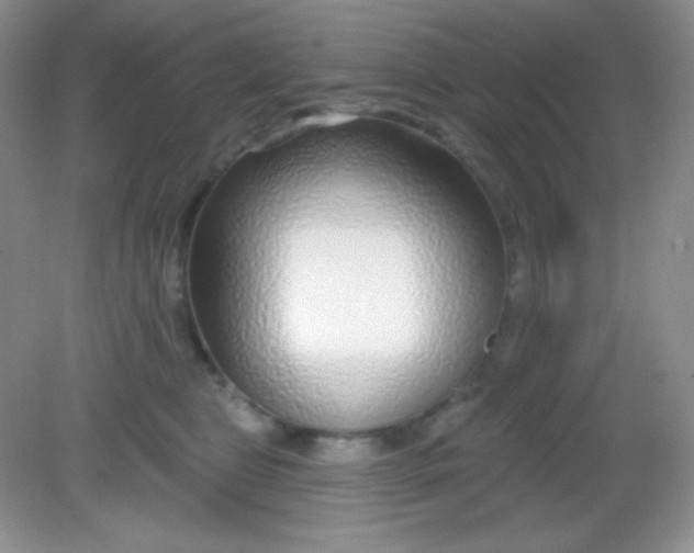 X0000082160469200702021705