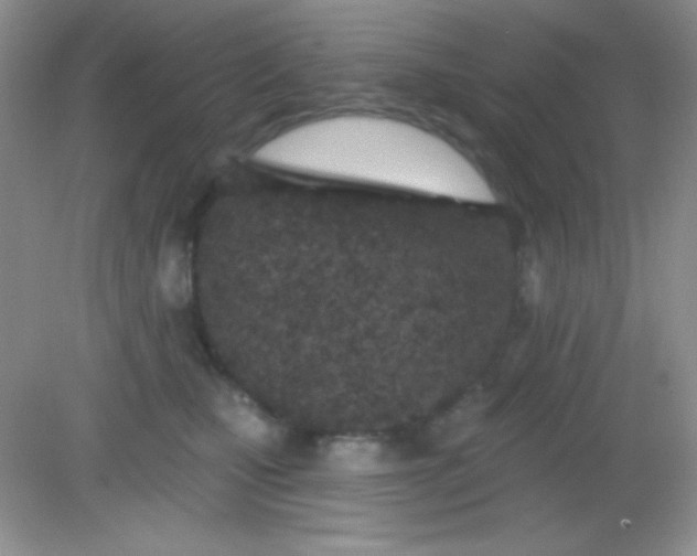 X0000082160471200702021705