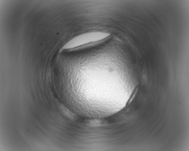 X0000082160473200702021705