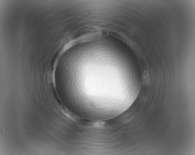 X0000082160474200702021705