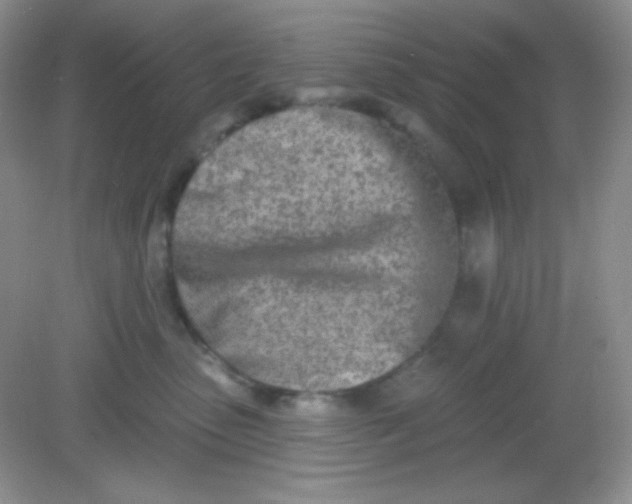 X0000082160475200702021705