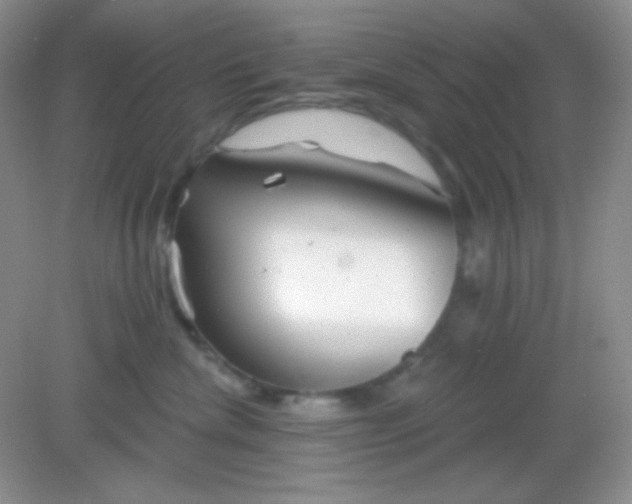 X0000082160476200702021705