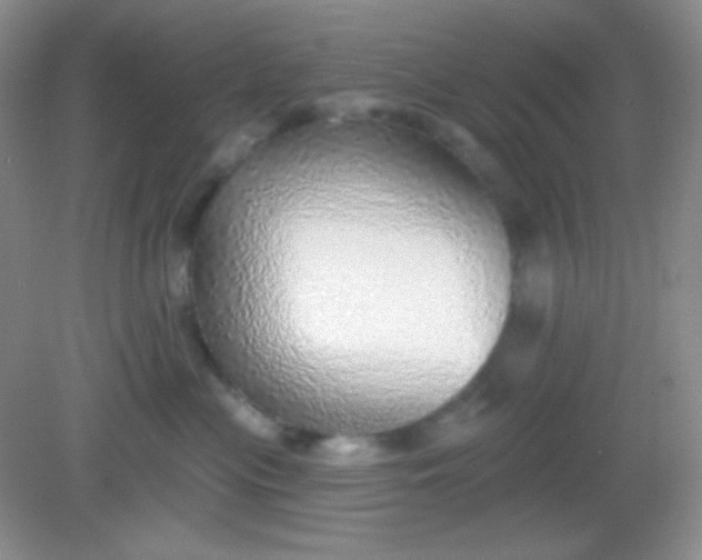 X0000082160477200702021705