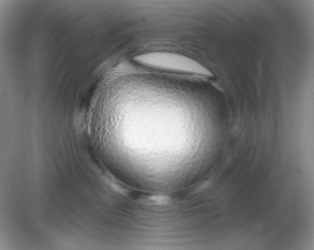 X0000082160478200702021705