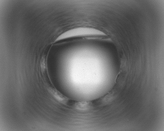 X0000082160479200702021705