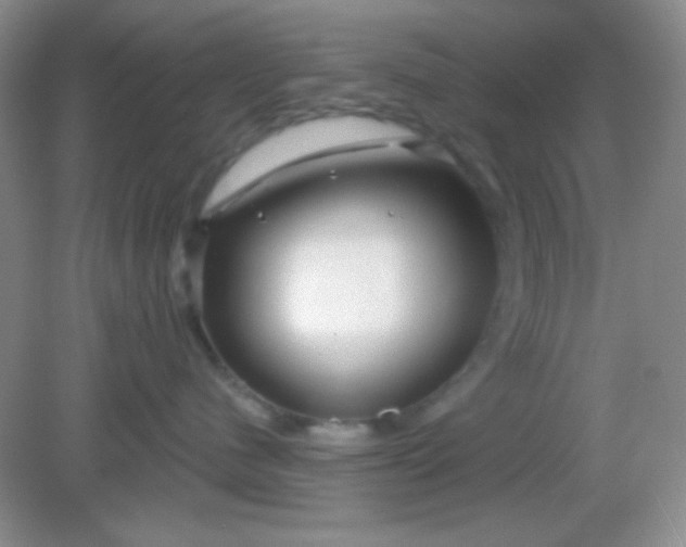 X0000082160480200702021705