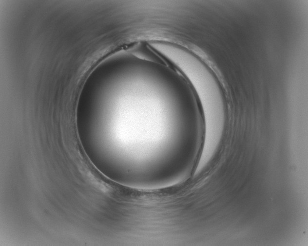 X0000082160481200702021705