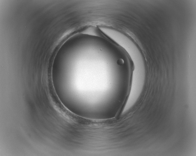 X0000082160482200702021705