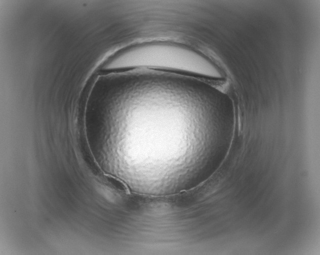 X0000082160483200702021705