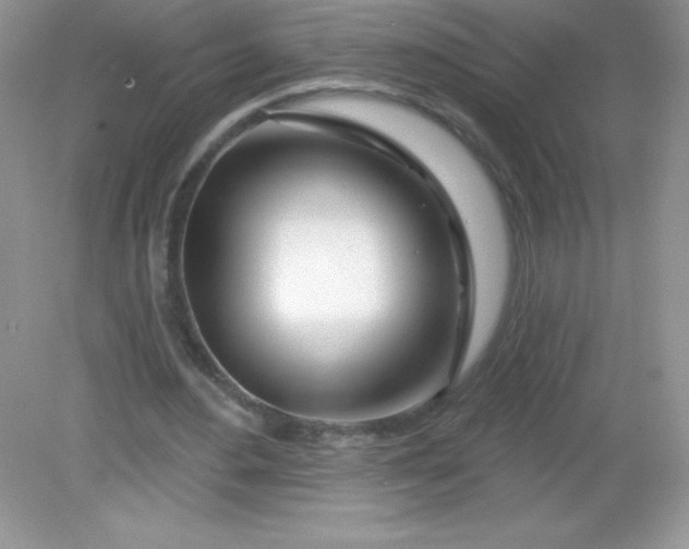 X0000082160484200702021705