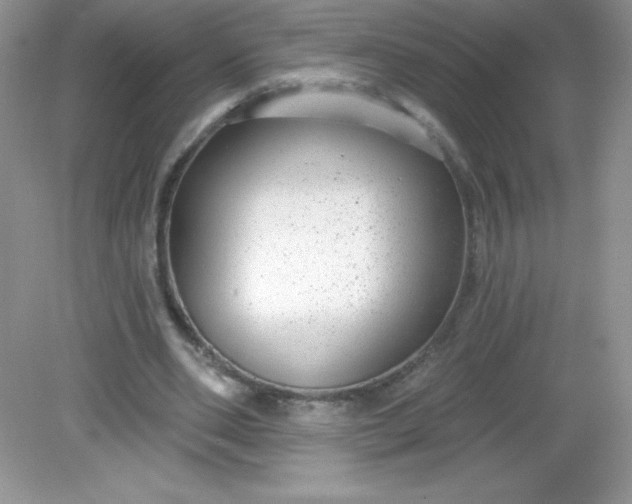 X0000082160486200702021705