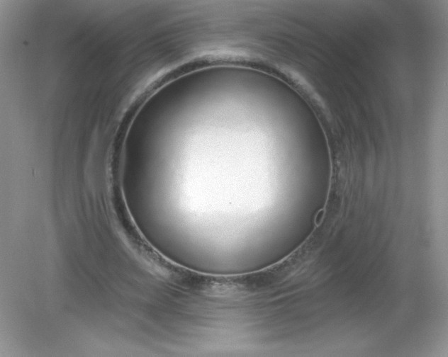 X0000082160487200702021705