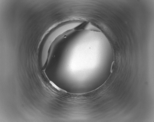 X0000082160488200702021704