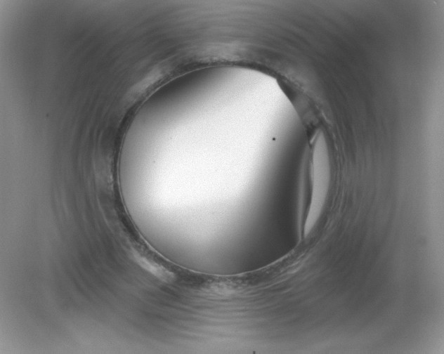 X0000082160489200702021704