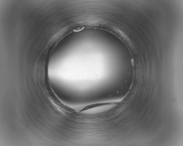 X0000082160493200702021704