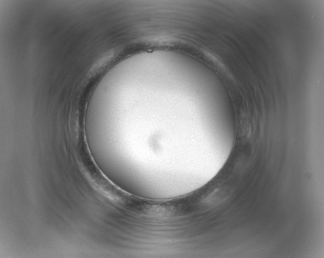 X0000082160494200702021704