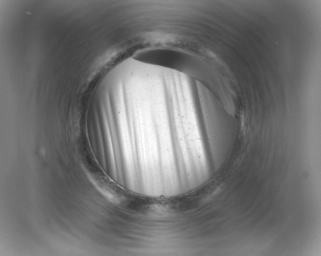 X0000082160496200702021704