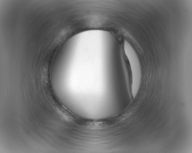 X0000082160497200702021704