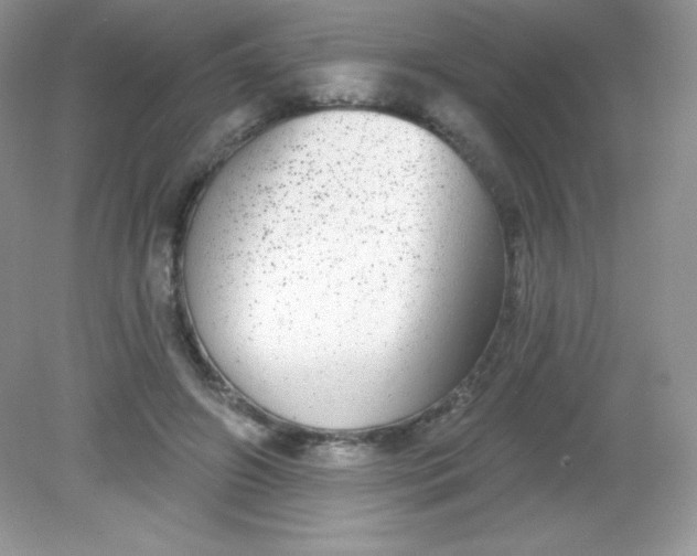 X0000082160498200702021704