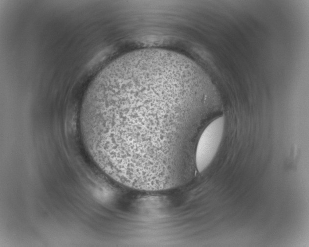 X0000082160499200702021704