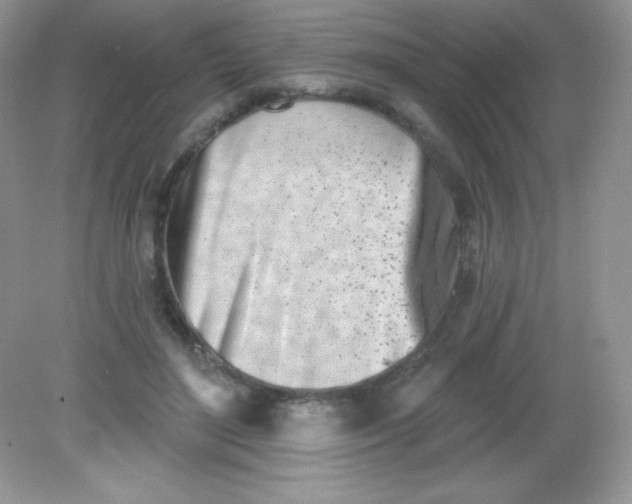 X0000082160500200702021704