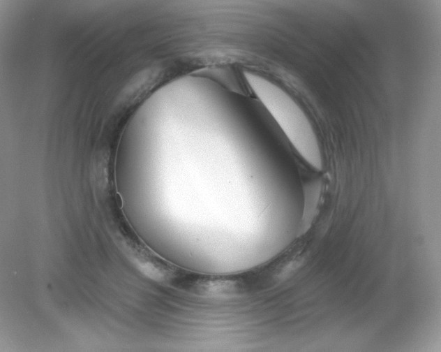 X0000082160501200702021704