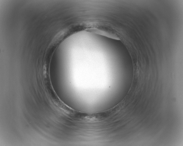 X0000082160502200702021704