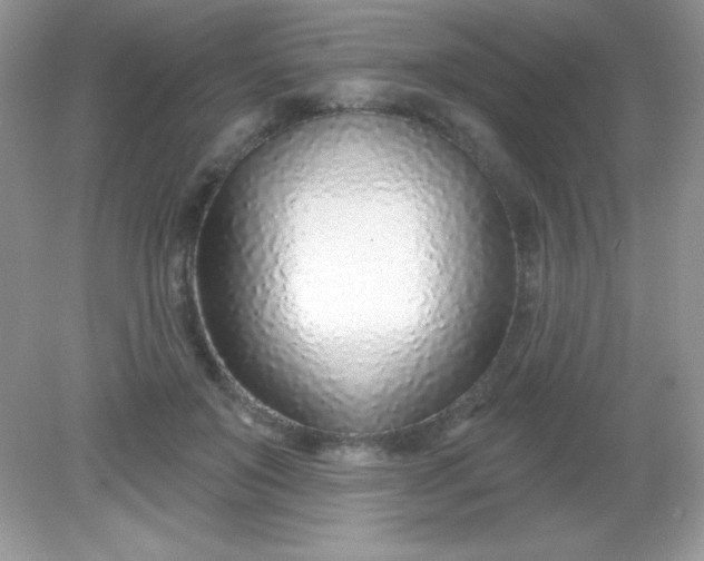 X0000082160503200702021704