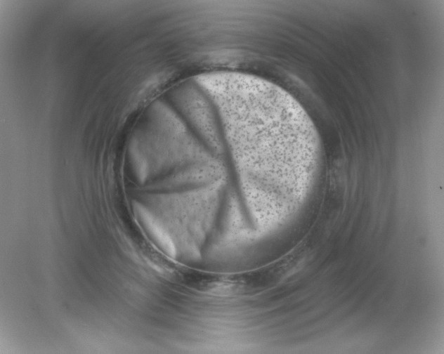 X0000082160504200702021704