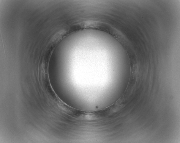 X0000082160506200702021704