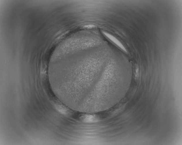 X0000082160507200702021704